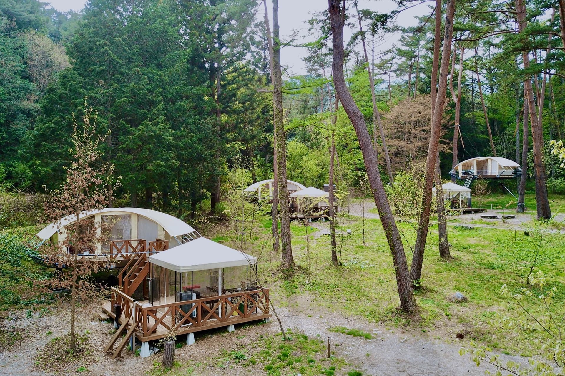 ツリードーム南信州まつかわ