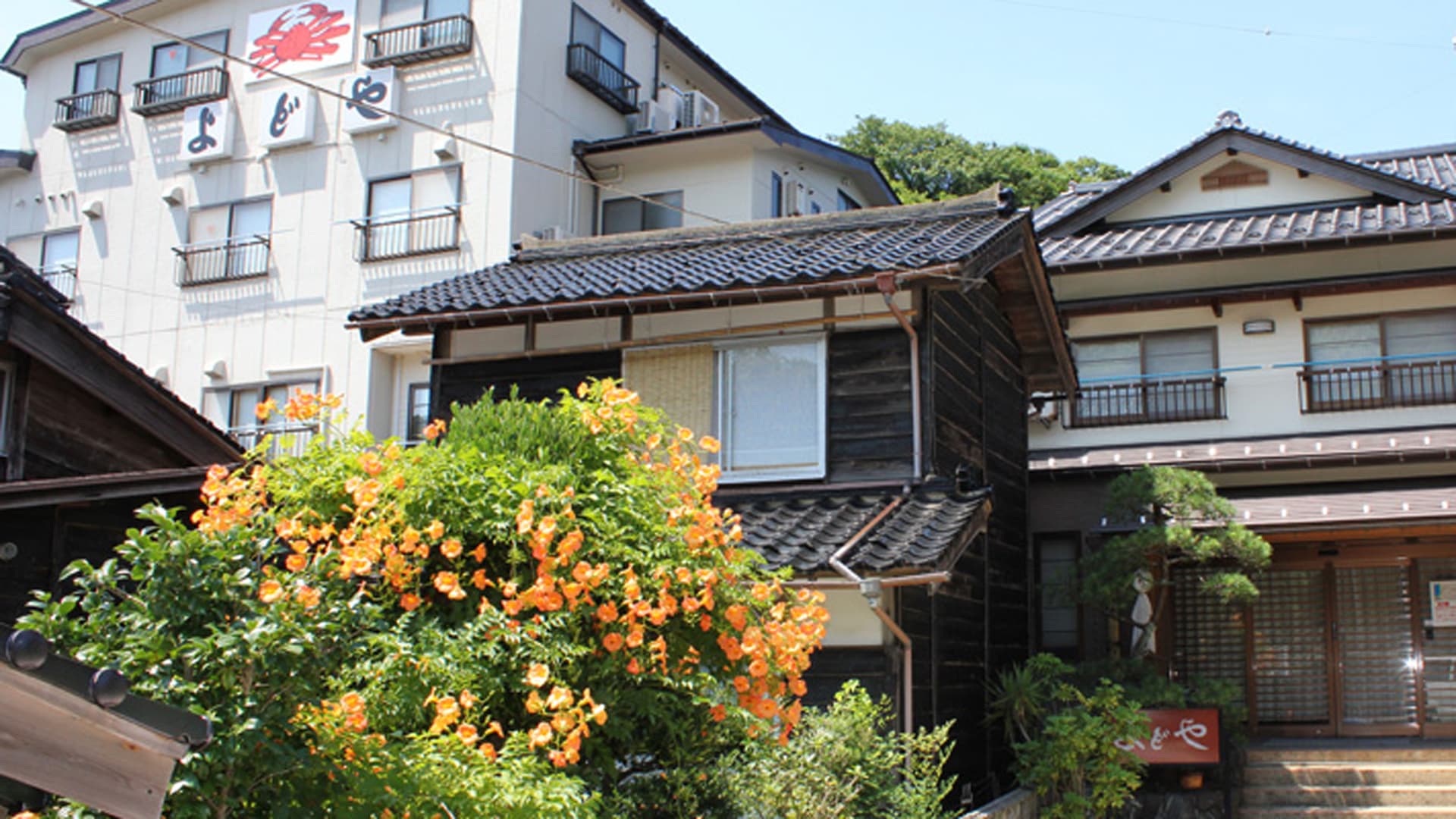 心やすらぐ海辺の実家　よどや