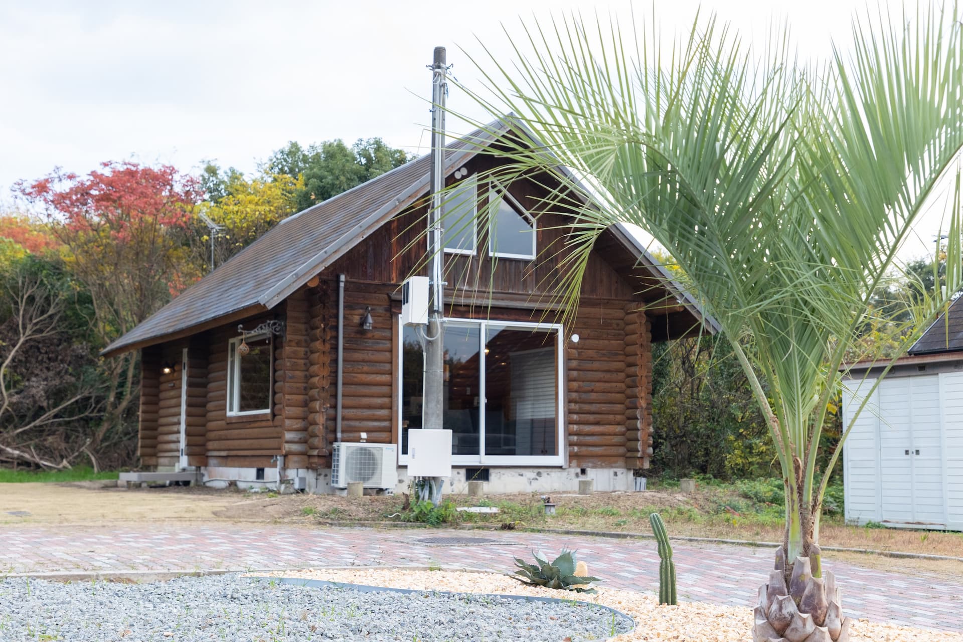 ｒｏｃｏｚｅｎ