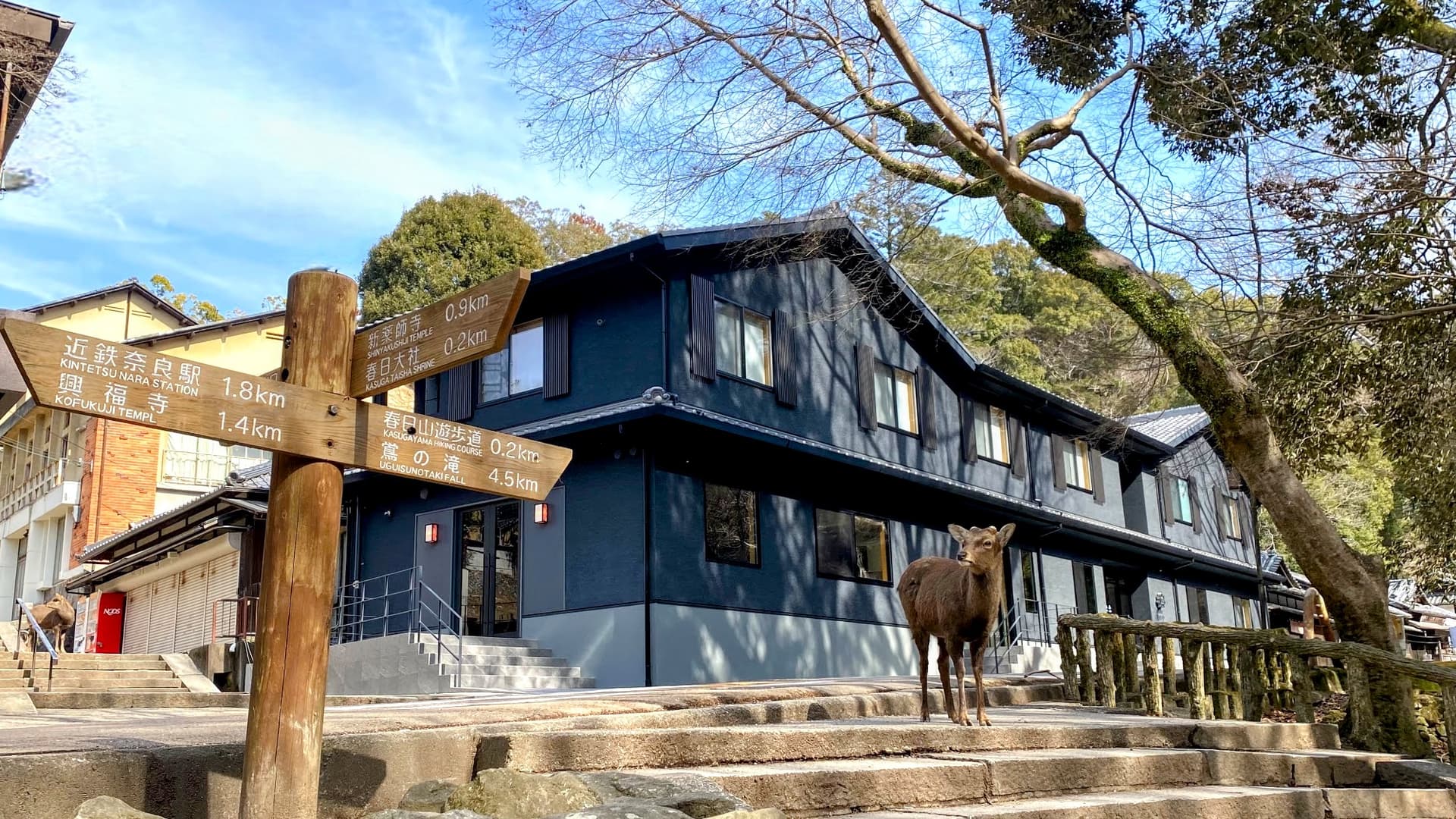 奈良春日　鹿のや