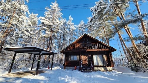 Ｍｏｕｎｔａｉｎ　Ｓｔｒｅａｍ　Ｌｏｇ　Ｃａｂｉｎ　＾
