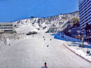 スポーツプラザ白樺 2