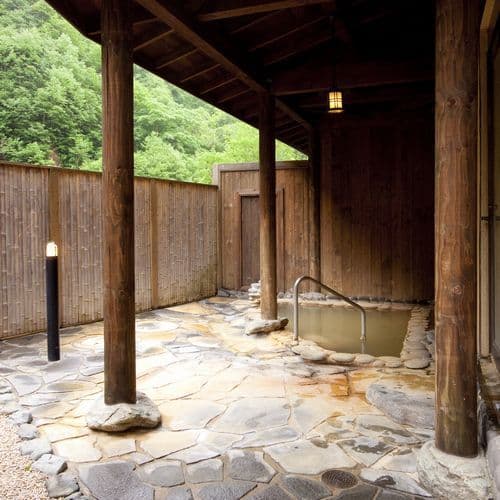 天人峡温泉　御やど　しきしま荘 2