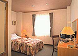 若狭小浜　若杉 2