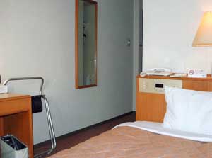 川崎第一ホテル溝ノ口 2