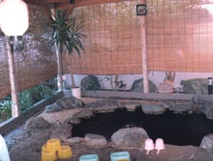 岬ペンション　ガジュマル 2