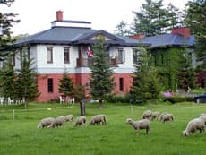 YORKSHIRE FARM(ヨークシャーファーム)