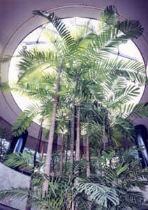 瀬戸大橋温泉　やま幸 2