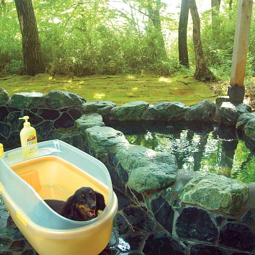 ペンションアニマーレin那須 2