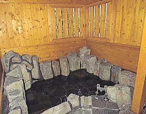 貸別荘　飯田ログハウスＡ 2