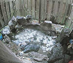 貸別荘　天ヶ瀬ログハウスＢ 2