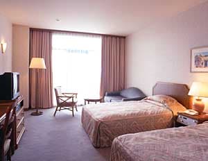 大江戸温泉物語Ｐｒｅｍｉｕｍ　西海橋 2