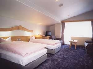 志賀山温泉　ホテルアルペンブルク 2