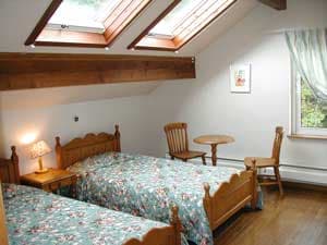 だんでらいおん 2