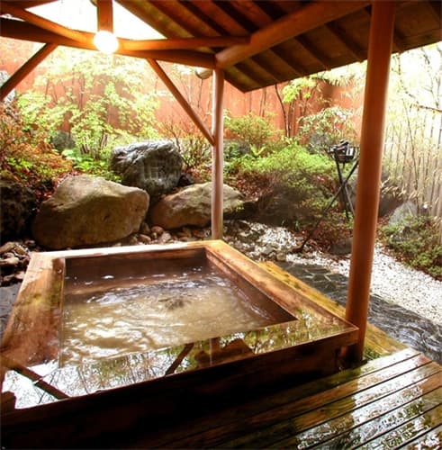 合歓林（ネムリン）オリエンタル 2