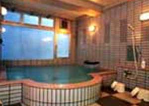 ホテルアルファスター岩原 2