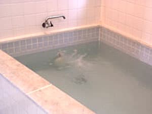 民宿　ハーバーハウスかなめ 2