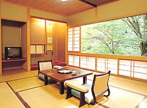 下呂の奥座敷　炭酸泉の宿　泉岳舘 2