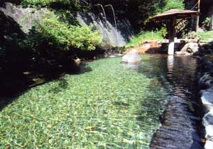 那須温泉　大丸温泉旅館 2