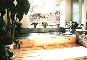 フォレスト　イン　モーグル 2