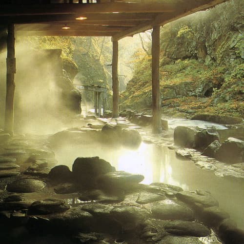 大江戸温泉物語Ｐｒｅｍｉｕｍ　仙台作並（旧：作並温泉　鷹泉閣岩松旅館） 2