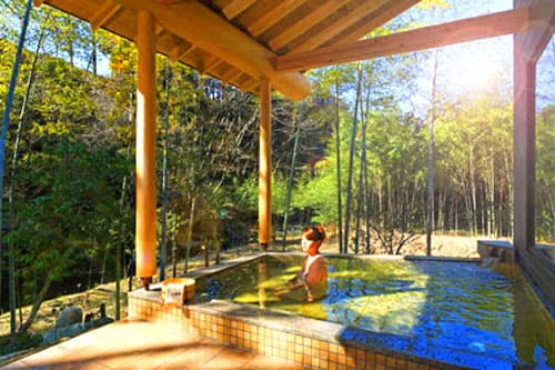 うぐいす谷温泉　竹の葉 2