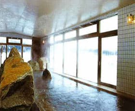 湯田温泉峡　巣郷温泉　高原旅館大扇 2