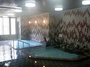 昼神温泉　保養センター　尾張　あさひ苑 2