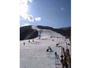 みつまたロッヂ 2