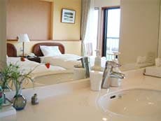 ＳＡＤＯ二ツ亀ビューホテル　＜佐渡島＞ 2