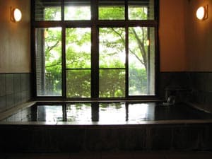 霧島温泉郷　霧島みやまホテル 2