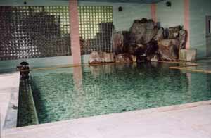 鹿教湯温泉　ホテル天竜閣 2