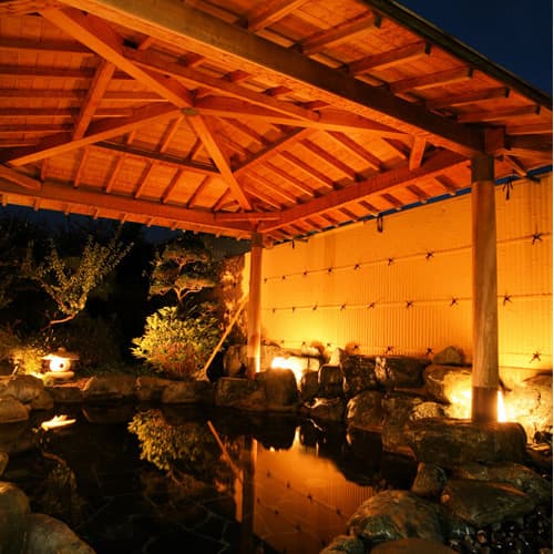 湯元館　ニュー浜島　別館花の館　椿 2