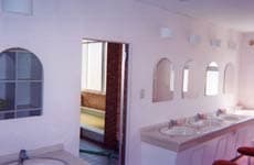 武尊高原　白樺 2