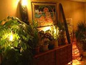 ゲストハウス　Ｓｅａ〜ＰａっＰａ（女性専用） 2