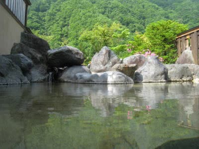 奥飛騨温泉郷　ペットと泊まれる素泊まり温泉宿　こんじ旅館 2