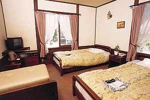 ベルコート白馬 2