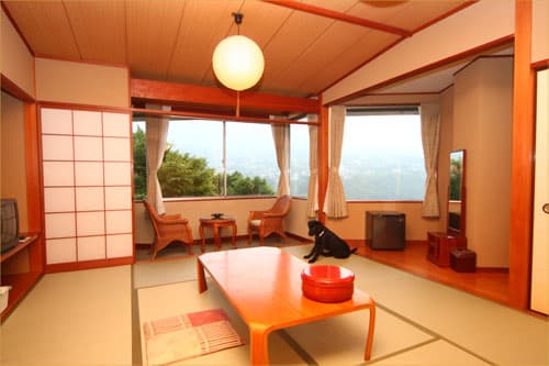 箱根宮城野温泉　ドッグパレスリゾート箱根 2