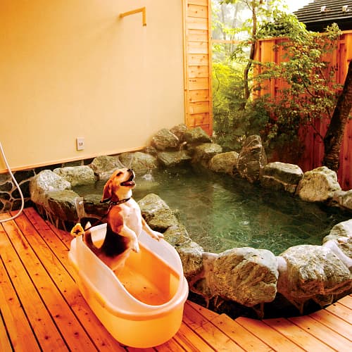 ペンション　アニマーレ 2