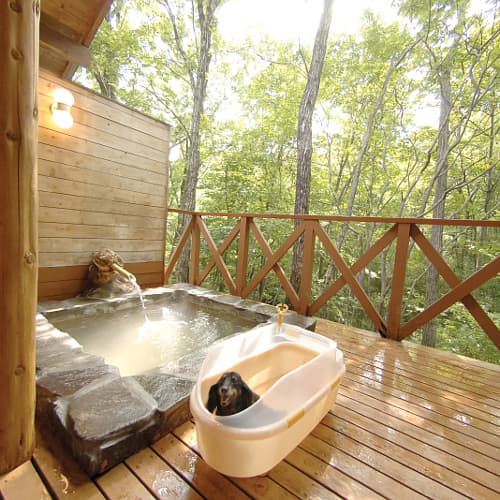 ペンションアニマーレ　アネックス 2