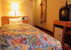 一関グリーンホテル 2