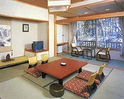 鹿教湯（かけゆ）温泉　むささびの訪れる宿　つるや旅館 2