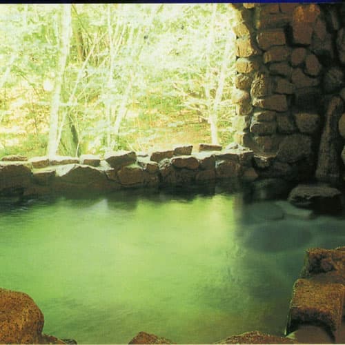 温泉ペンション　青いやね 2