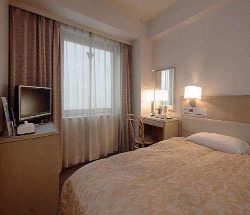 デイナイスホテル東京 2