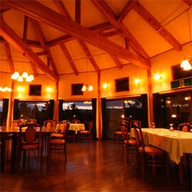 ウィンディ　アンブレラ 2