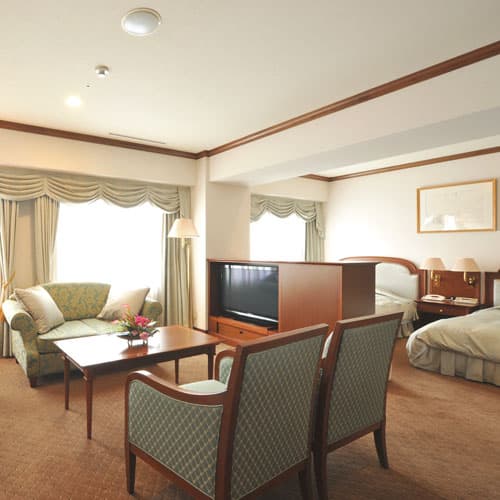 ホテルマイステイズ松山 2