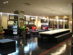 グリーンリッチホテル松江駅前　人工温泉・二股湯の華 2