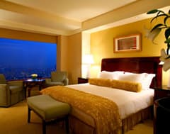 ザ・リッツ・カールトン東京 2