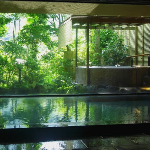 海石榴　つばき 2