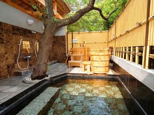 別府温泉　癒しの郷ＧＩ 2